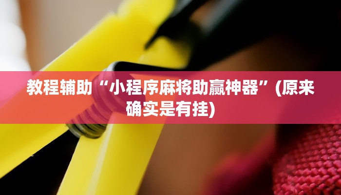 教程辅助“小程序麻将助赢神器”(原来确实是有挂)