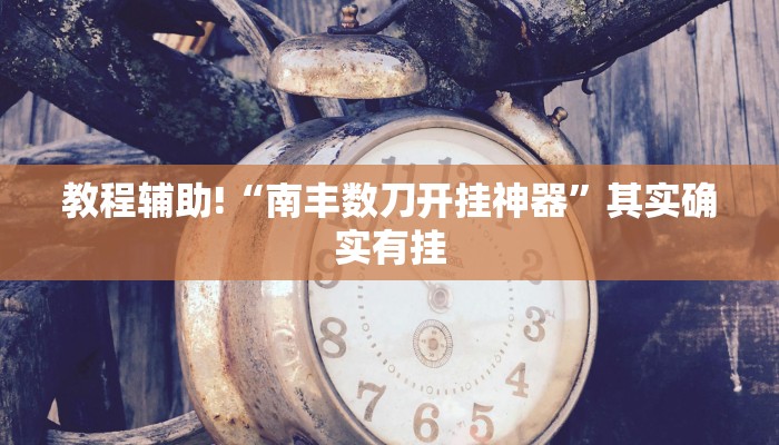 教程辅助!“南丰数刀开挂神器”其实确实有挂
