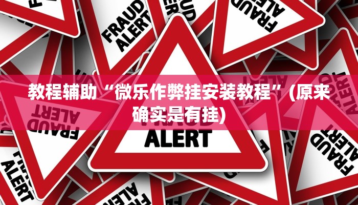 教程辅助“微乐作弊挂安装教程”(原来确实是有挂)