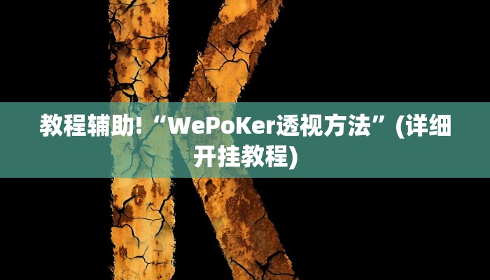 教程辅助!“WePoKer透视方法”(详细开挂教程)