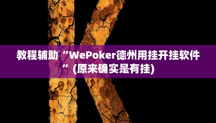 教程辅助“WePoker德州用挂开挂软件”(原来确实是有挂)