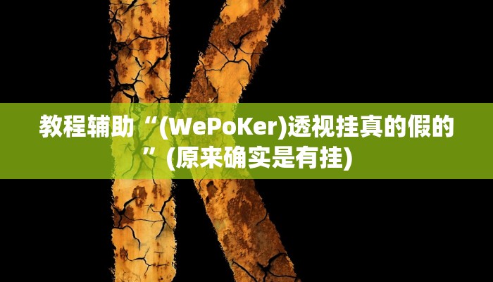 教程辅助“(WePoKer)透视挂真的假的”(原来确实是有挂)