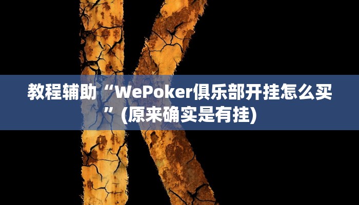 教程辅助“WePoker俱乐部开挂怎么买”(原来确实是有挂)