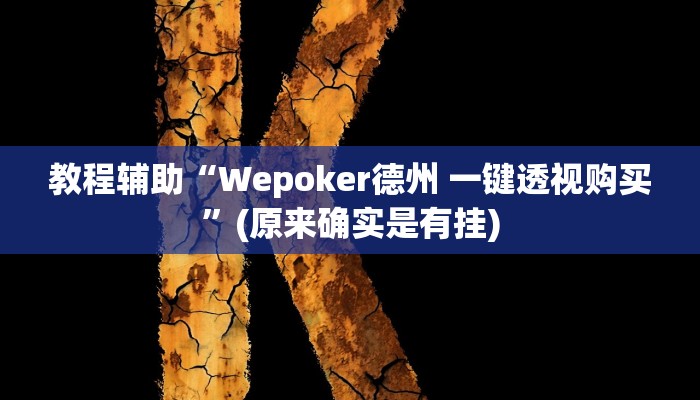 教程辅助“Wepoker德州 一键透视购买”(原来确实是有挂)