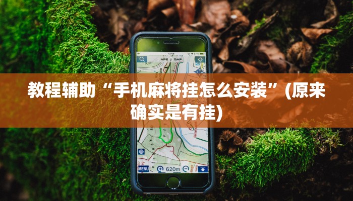 教程辅助“手机麻将挂怎么安装”(原来确实是有挂)