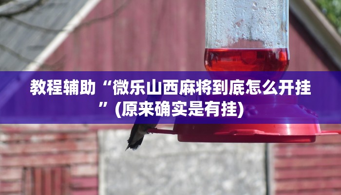 教程辅助“微乐山西麻将到底怎么开挂”(原来确实是有挂)