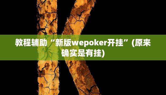 教程辅助“新版wepoker开挂”(原来确实是有挂)