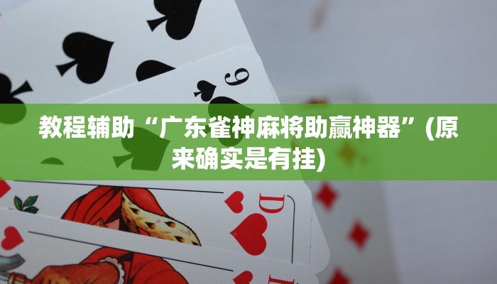 教程辅助“广东雀神麻将助赢神器”(原来确实是有挂)