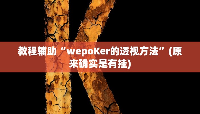 教程辅助“wepoKer的透视方法”(原来确实是有挂)