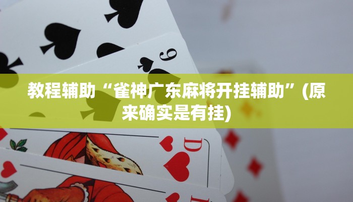 教程辅助“雀神广东麻将开挂辅助”(原来确实是有挂)