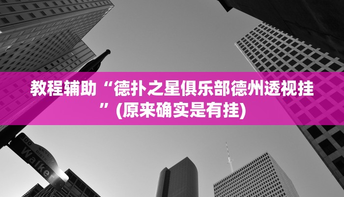 辅助神器“畅享新娱辅助器下载”其实确实有挂