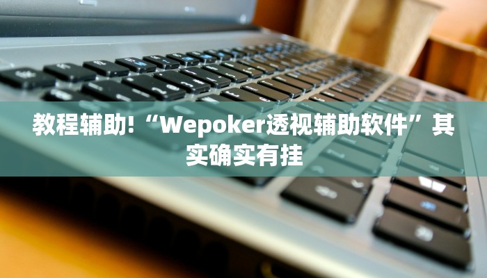 教程辅助!“wepoker透视挂软件辅助”(详细开挂教程)