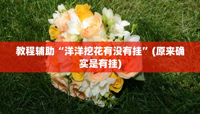 教程辅助“洋洋挖花有没有挂”(原来确实是有挂)