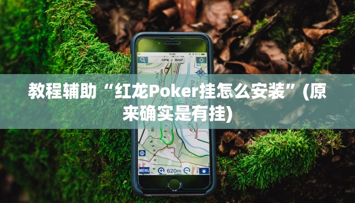 教程辅助“红龙Poker挂怎么安装”(原来确实是有挂)