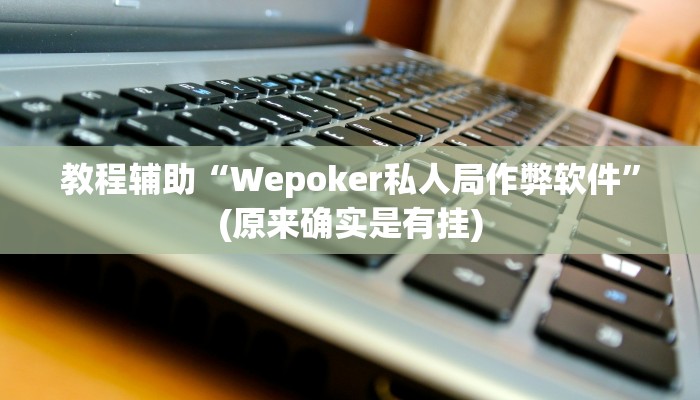 教程辅助“Wepoker私人局作弊软件”(原来确实是有挂)