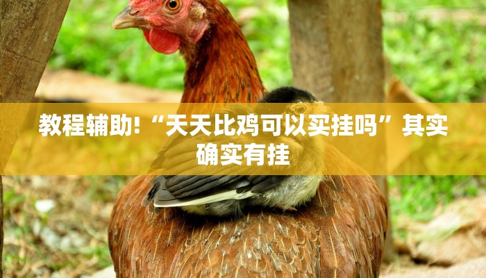 教程辅助!“天天比鸡可以买挂吗”其实确实有挂