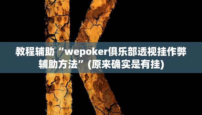 教程辅助“wepoker俱乐部透视挂作弊辅助方法”(原来确实是有挂)