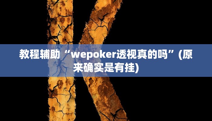 教程辅助“wepoker透视真的吗”(原来确实是有挂)
