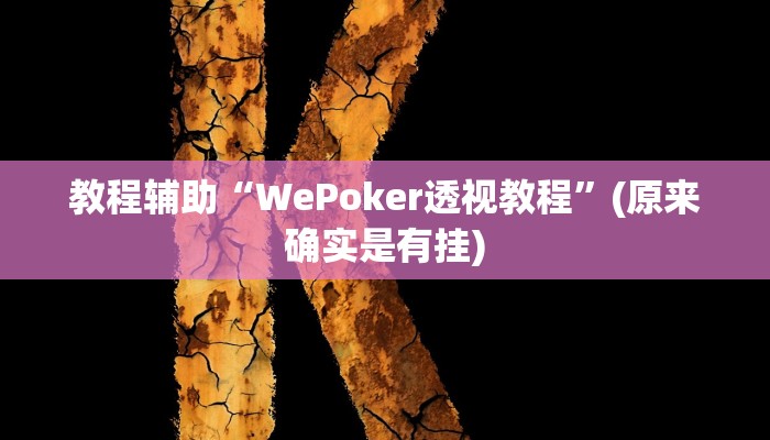 教程辅助“天天跑得快开挂神器”(原来确实是有挂)