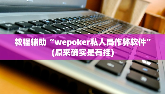 教程辅助“wepoker私人局作弊软件”(原来确实是有挂)