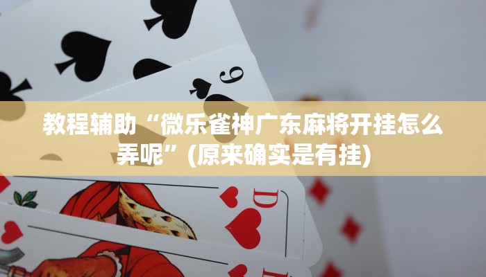 教程辅助“微乐雀神广东麻将开挂怎么弄呢”(原来确实是有挂)