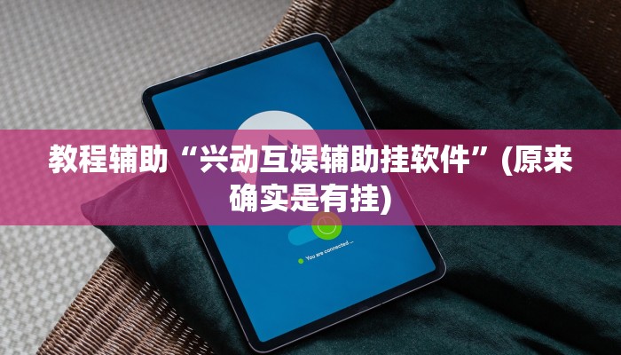 教程辅助“兴动互娱辅助挂软件”(原来确实是有挂)