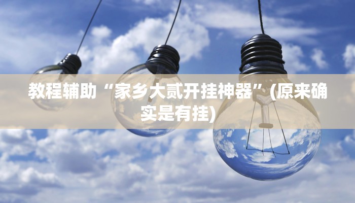 教程辅助“家乡大贰开挂神器”(原来确实是有挂)