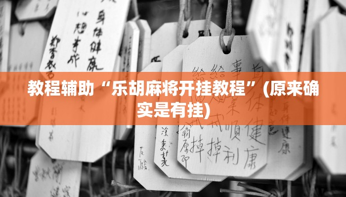 教程辅助“乐胡麻将开挂教程”(原来确实是有挂)