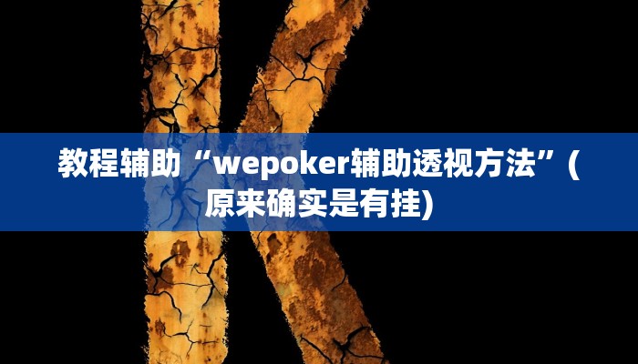 教程辅助“wepoker辅助透视方法”(原来确实是有挂)