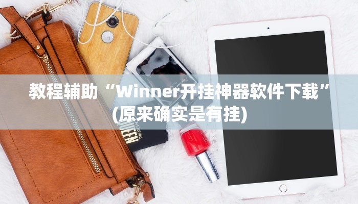 教程辅助“Winner开挂神器软件下载”(原来确实是有挂)