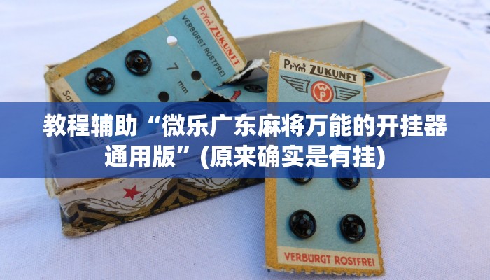 教程辅助“微乐广东麻将万能的开挂器通用版”(原来确实是有挂)