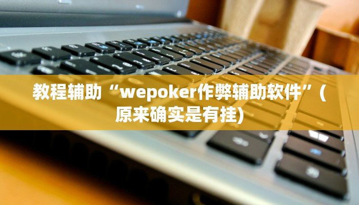 教程辅助“wepoker作弊辅助软件”(原来确实是有挂)