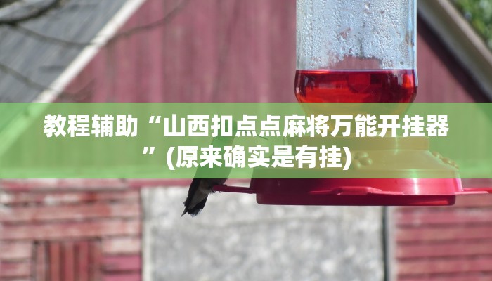 教程辅助“山西扣点点麻将万能开挂器”(原来确实是有挂)