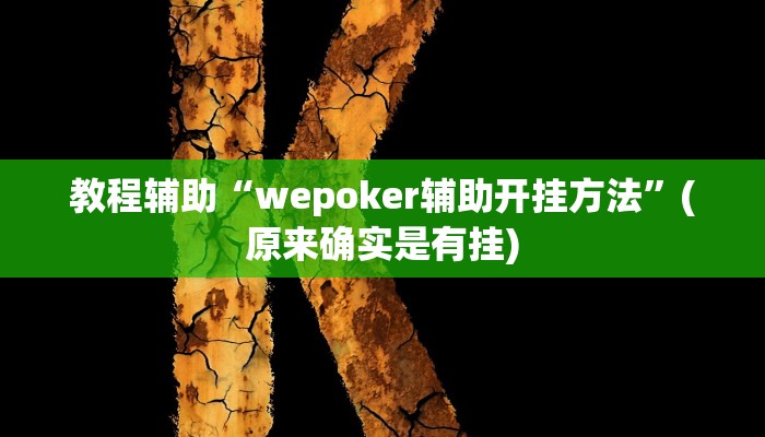 教程辅助“wepoker辅助开挂方法”(原来确实是有挂)