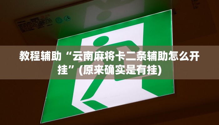 教程辅助“云南麻将卡二条辅助怎么开挂”(原来确实是有挂)