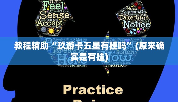 教程辅助“玖游卡五星有挂吗”(原来确实是有挂)