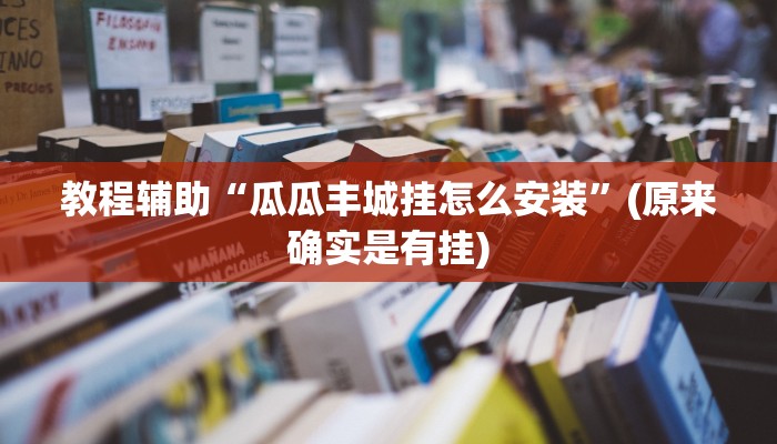 教程辅助“瓜瓜丰城挂怎么安装”(原来确实是有挂)