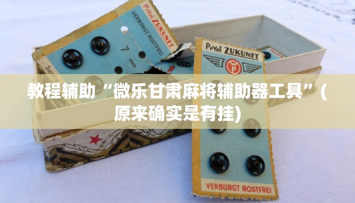 教程辅助“微乐甘肃麻将辅助器工具”(原来确实是有挂)