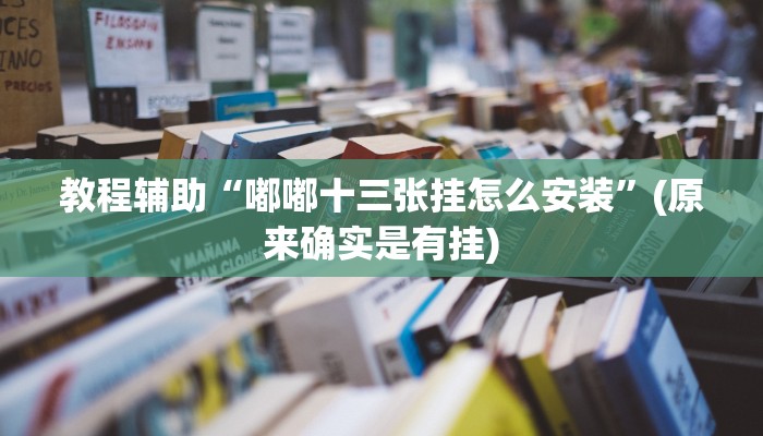 教程辅助“嘟嘟十三张挂怎么安装”(原来确实是有挂)