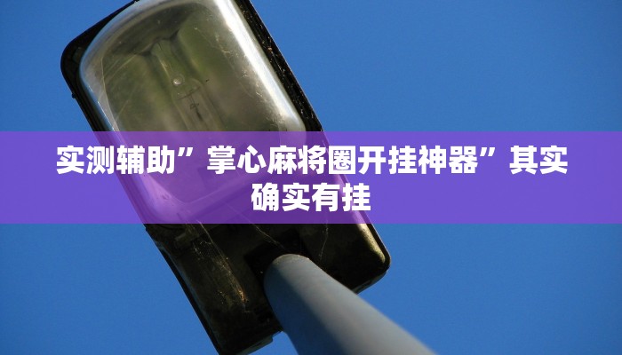 实测辅助”掌心麻将圈开挂神器”其实确实有挂