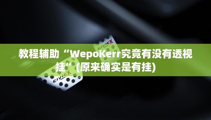 教程辅助“WepoKerr究竟有没有透视挂”(原来确实是有挂)