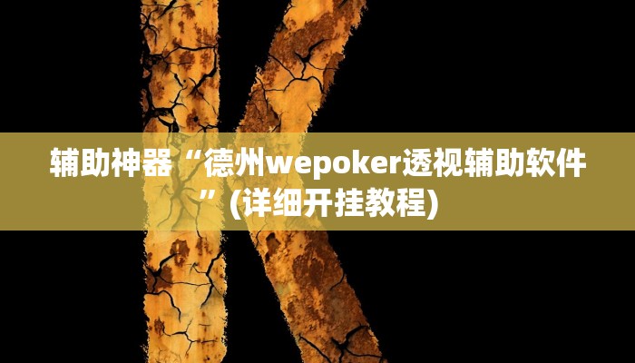 辅助神器“德州wepoker透视辅助软件”(详细开挂教程)