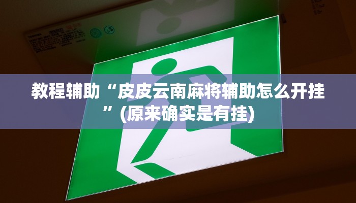 教程辅助“皮皮云南麻将辅助怎么开挂”(原来确实是有挂)