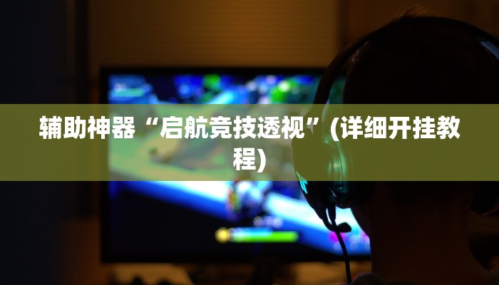 辅助神器“启航竞技透视”(详细开挂教程)