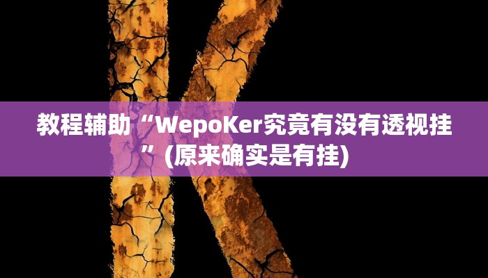 教程辅助“WepoKer究竟有没有透视挂”(原来确实是有挂)