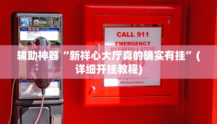 辅助神器“新祥心大厅真的确实有挂”(详细开挂教程)