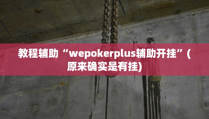 教程辅助“wepokerplus辅助开挂”(原来确实是有挂)