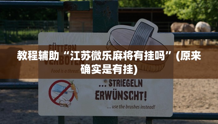 教程辅助“江苏微乐麻将有挂吗”(原来确实是有挂)
