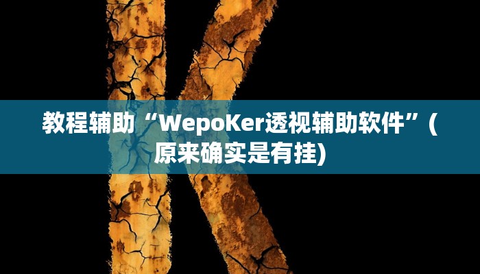 教程辅助“WepoKer透视辅助软件”(原来确实是有挂)