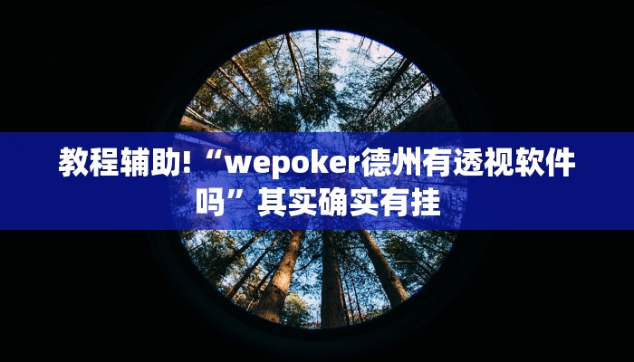 教程辅助!“wepoker德州有透视软件吗”其实确实有挂